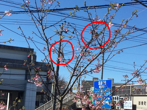 AC276A90-2CCD-4ACC-A9C9-474892C91E6B