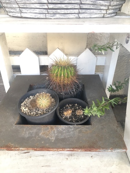 1E8584B5-90CD-4D2F-A3E9-AC13E663469C