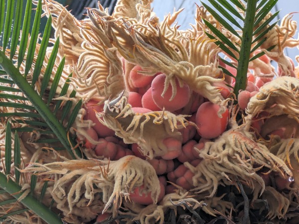 PXL_20240221_030910302