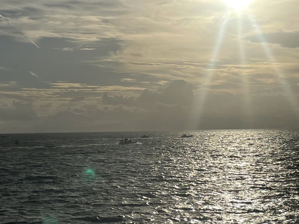 F1B03036-405D-4593-96BC-662E1BC8D16F