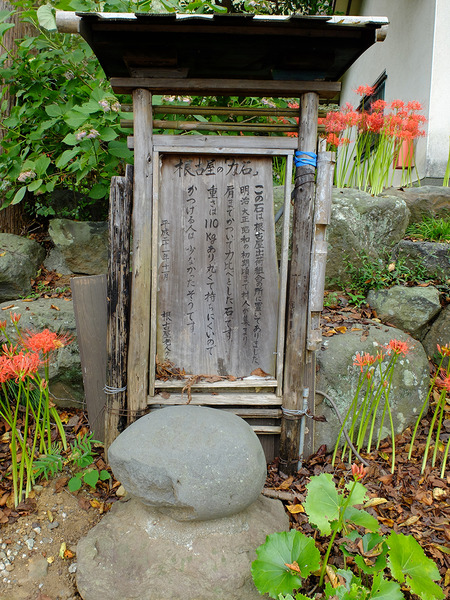 koukokuji (4)