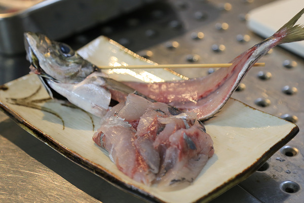 沼津っ子の英才教育！？魚の一匹くらいおろせるようになりたいよね