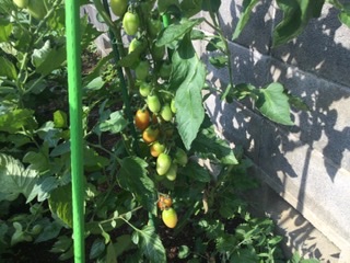 C6C31FBC-6F8A-4C69-A088-E38983359838