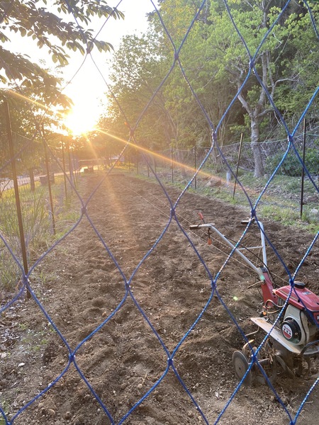 夕陽