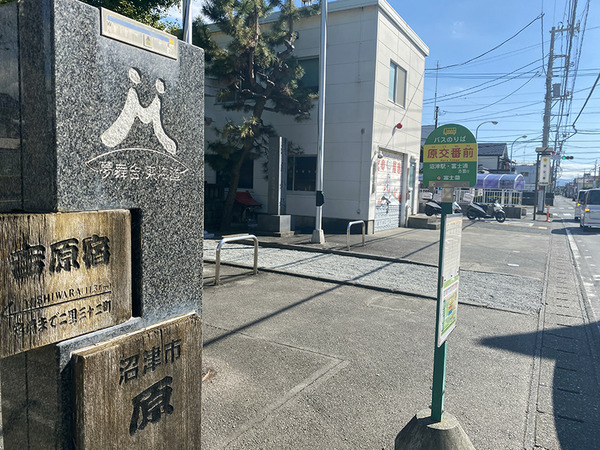shobodan (1)