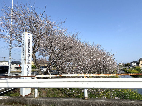 chikusen (3)