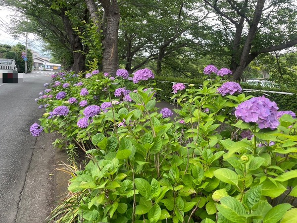 FB049E2E-538A-4423-93EE-1ACDC3D723F0