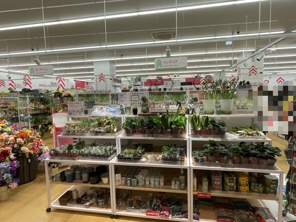 A164A266-52AB-4011-AA2E-FF4BAE09E220