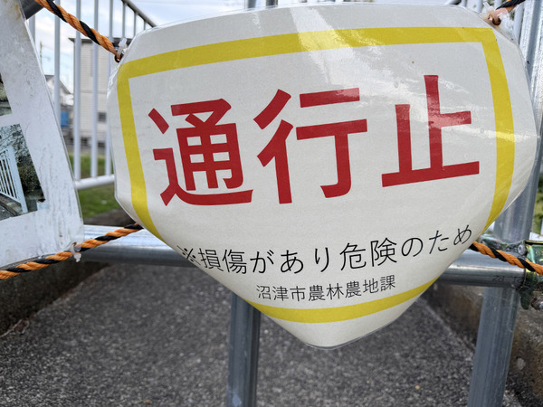 hashi (3)