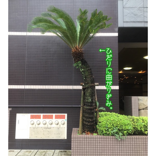 FDB603C6-8910-4CDB-8778-18D5F63365EE