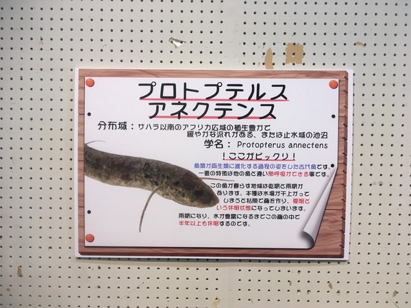 B398E291-736D-416C-A71E-BEA5E765715B