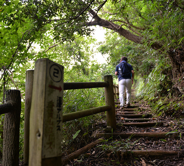 walk (11)