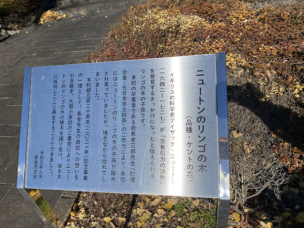 newton (4)