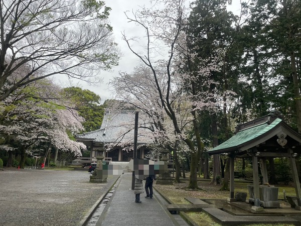 E1FF876E-7403-4B92-AA18-4AA263FA6358