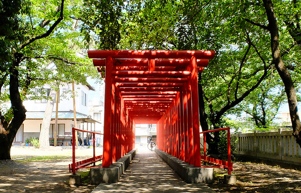 kadoikeena (1)