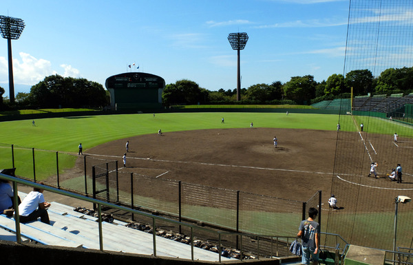 hayate (1)