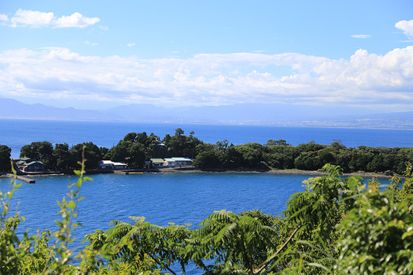 byakushing (7)