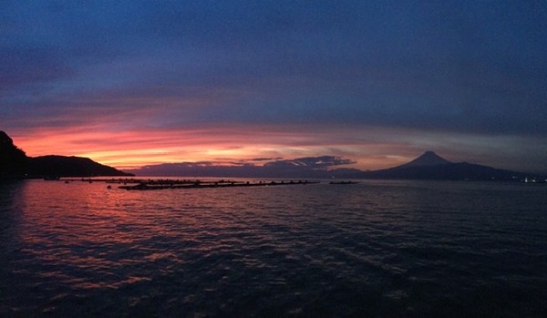 9C8A31AA-78A0-40BB-BEE6-309BF25651EC