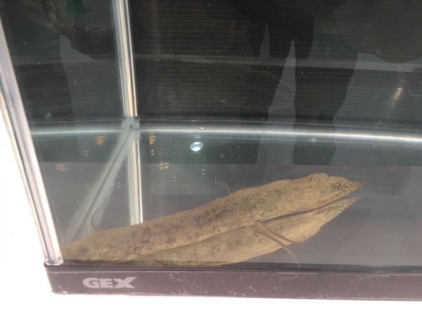 8D517AC6-F3F3-4BE7-B40C-F527004DE2D6