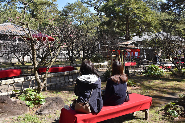 ume (9)