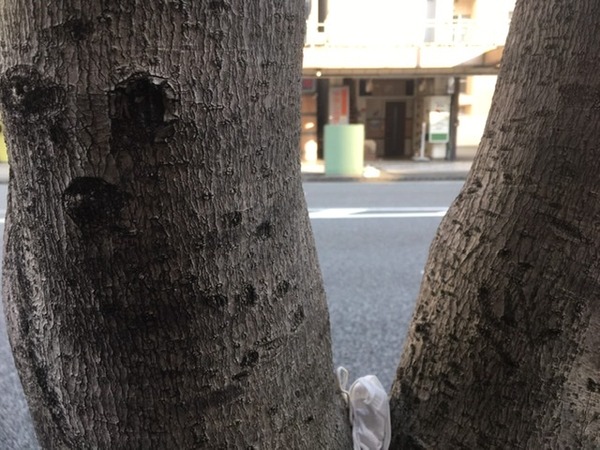 90DAC607-4A53-483E-83C7-771EA0D01670