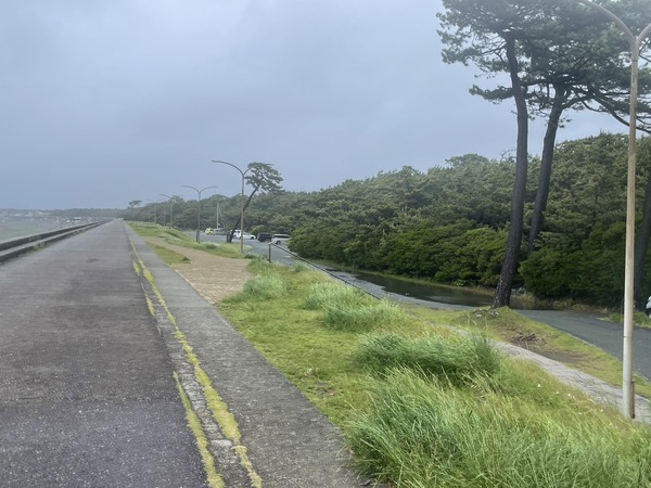 FF71DA6E-F913-43D0-84D9-52618B6A3B15