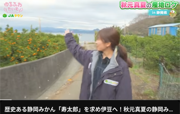 Screenshot_20260120-194858