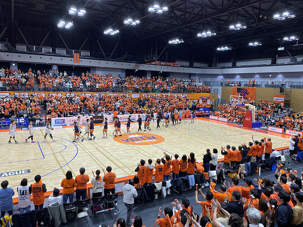 veltexshizuoka (2)