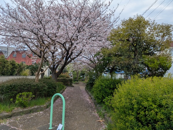 PXL_20250412_070401102