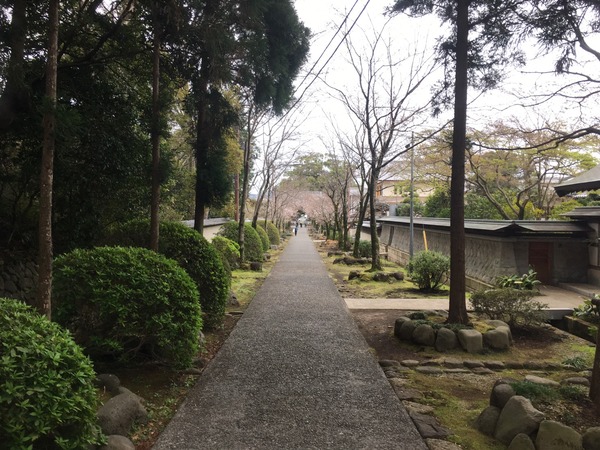 26E5CBF9-125E-47B2-9B33-31F10DC92A50