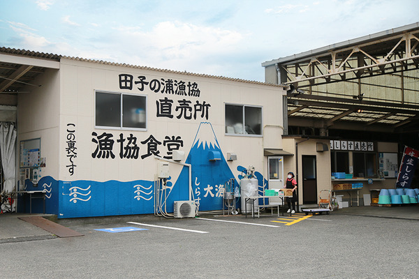 しらす丼から始まる文化遺産旅。富士→沼津のしずおか遺産周遊ルートがちょうどいい。