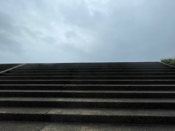 9CD30D49-BD8C-47DD-9474-989633FE616B