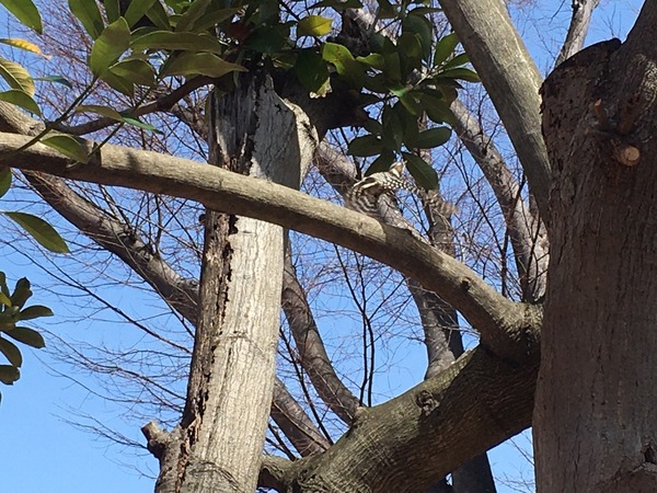 C7A6026C-1E28-4E5A-B56D-5FC96DC611D3