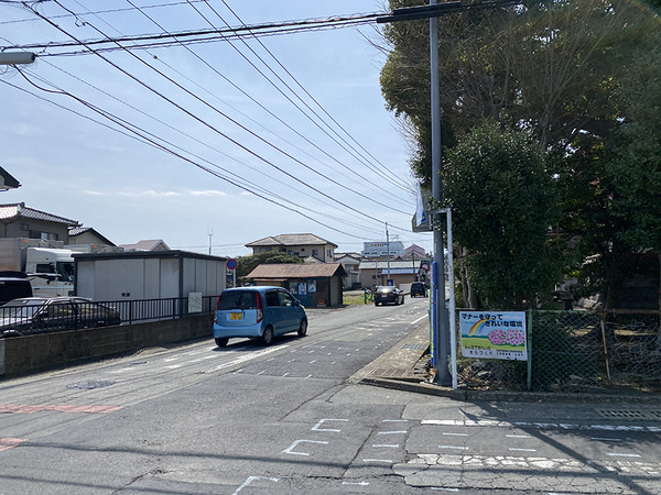 nanohana (9)