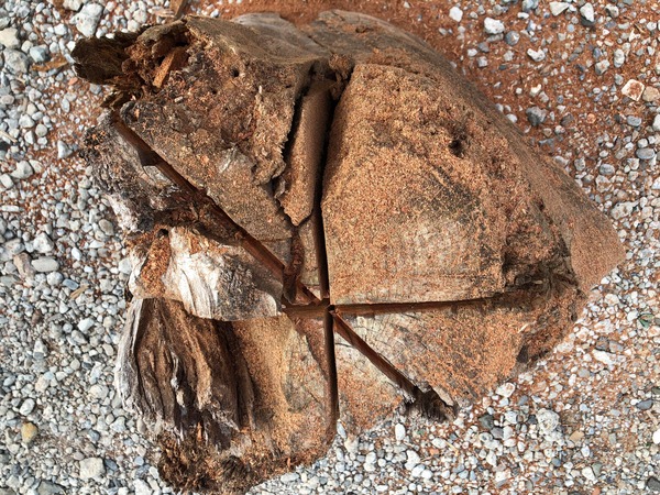 193996262_497970798113967_5946733896642609468_n