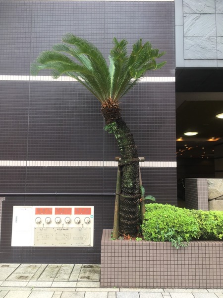 BCE34597-D038-49C5-B549-95CC2DB823F1