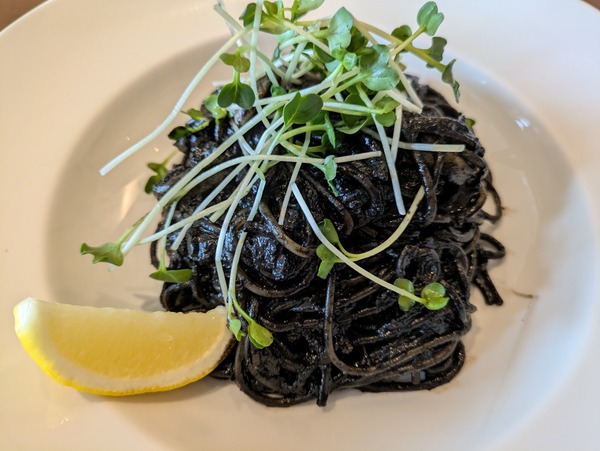 PXL_20250811_033649473