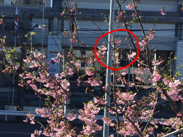 A61F1942-A5C7-4021-9BAD-F9BC59DEC550