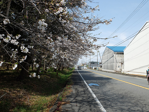 senbonkaidou (10)
