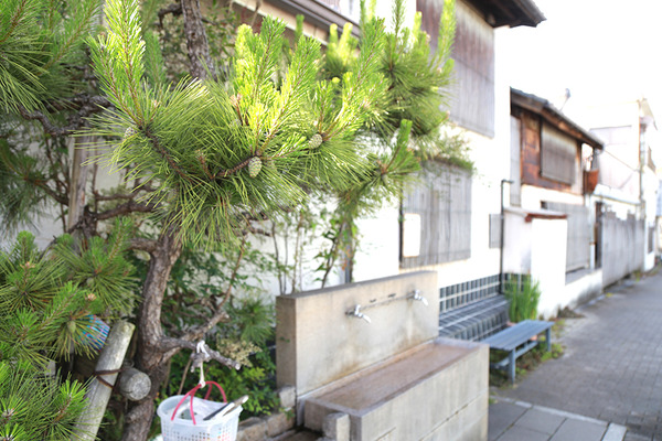 taq01 (5)