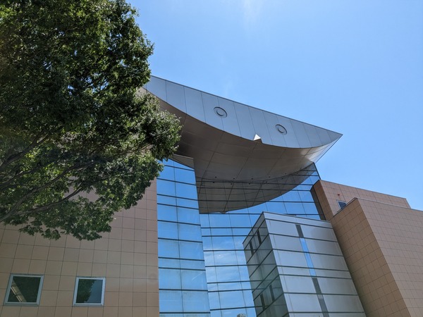 PXL_20230604_023548704
