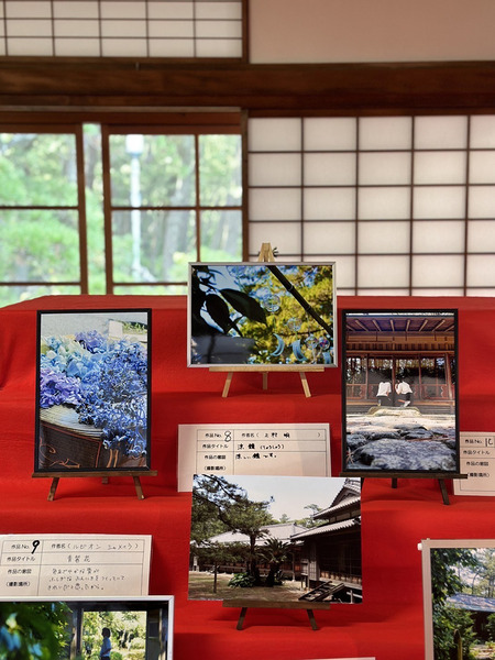 numakoo (6)