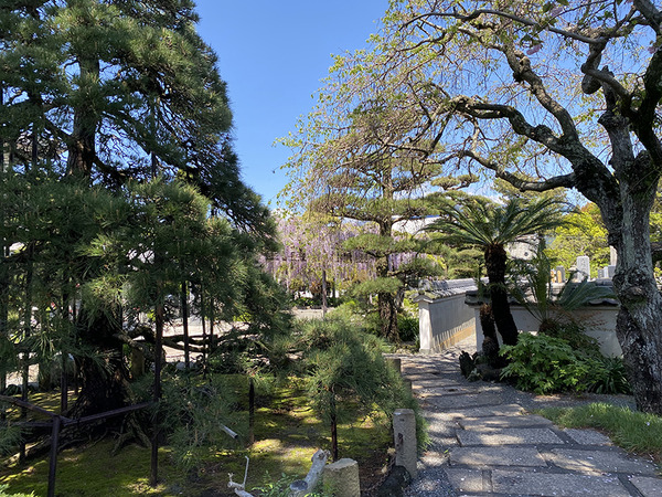 tokugen (3)