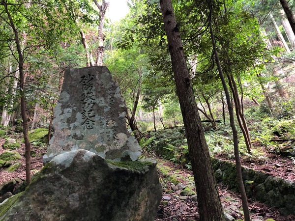 212228106_232755328493624_2718706616157823762_n