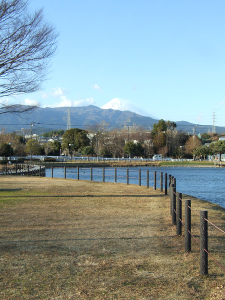 kadoike (2)