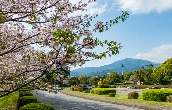 fujitsu (9)