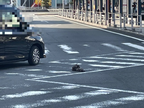 13E0409B-5995-4B50-BA94-5D463FEB3216