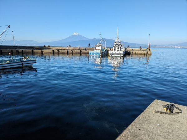 PXL_20231229_052647496