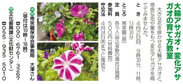 asagaon (11)
