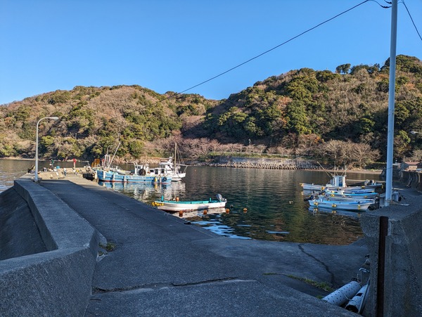 PXL_20231229_052404689